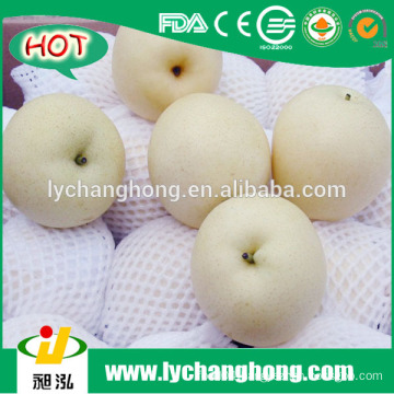 2014 new crop Emerald pears from China